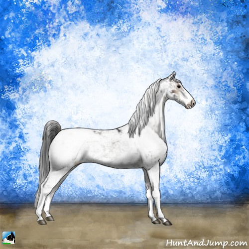 Horse Color:Blue Onyx Sabino Appaloosa Rabicano 