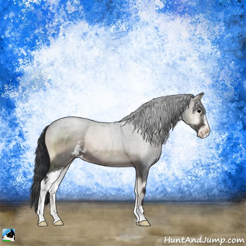 Horse Color:Blue Onyx Roan Sabino 