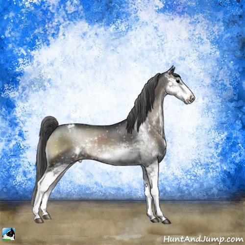 Horse Color:Blue Onyx Sabino Appaloosa Rabicano 