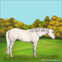 Horse Color:Silver Sable Cream Champagne Pearl 