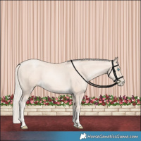 Horse Color:Gold Cream Champagne Pearl