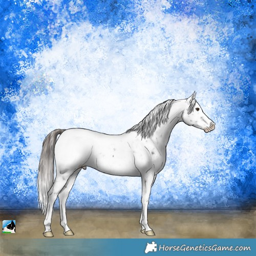 Horse Color:Brown Ice Mushroom Snowcap Rabicano 