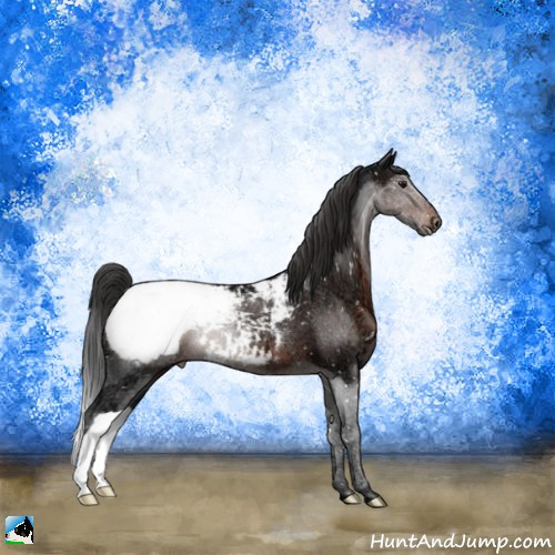 Horse Color:Brown Ice Mushroom Appaloosa Rabicano 