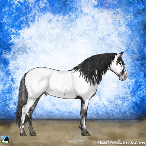 Horse Color:Blue Onyx Ice Appaloosa Rabicano 