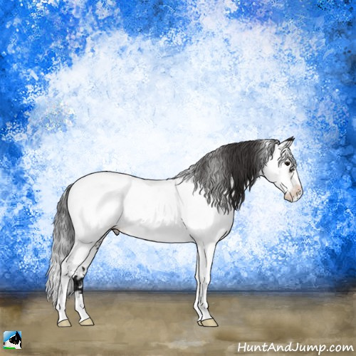 Horse Color:Brown Ice Mushroom Sabino Appaloosa 