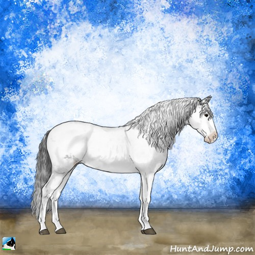 Horse Color:Black Sabino Appaloosa Rabicano 
