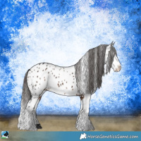 Horse Color:Brown Ice Sabino Appaloosa 