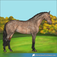 Horse Color:Bay Dun  and Bay Dun 