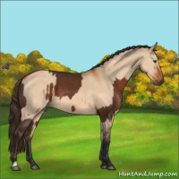 Horse Color:Liver Chestnut  and Bay Dun 