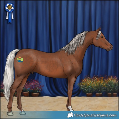 Horse Color:Silver Black 