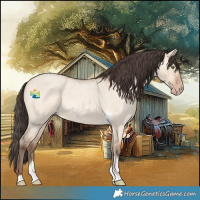 Horse Color:Amber Champagne Roan Dun Tobiano 