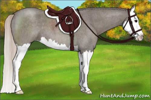 Horse Color:Silver Blue Roan Splash