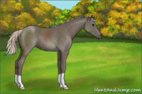 Horse Color:Silver Black 