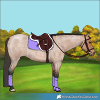 Horse Color:Bay Roan 