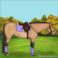 Horse Color:Bay Roan