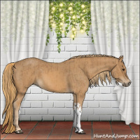 Horse Color:Red Roan  and Red Roan 