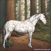 Horse Color:Bay Leopard 