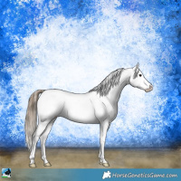 Horse Color:Smoky Black Ice Appaloosa