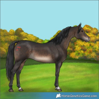 Horse Color:Brown 
