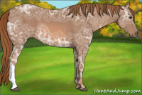 Horse Color:Chestnut Ice 
