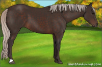 Horse Color:Silver Brown 