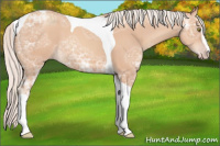 Horse Color:Silver Amber Champagne Ice Sabino Tobiano