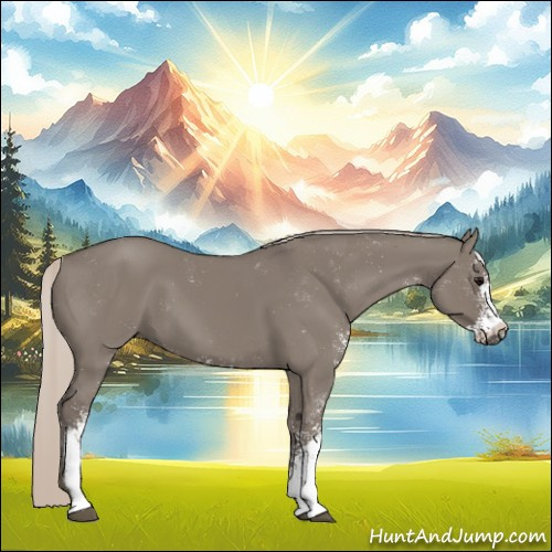 Horse Color:Silver Grullo Sabino