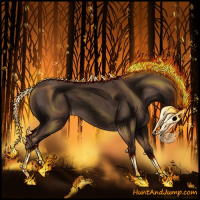 Horse Color:Void Liver Chestnut