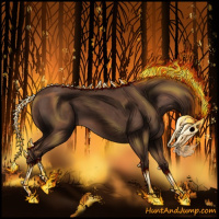 Horse Color:Void Liver Chestnut 