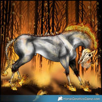 Horse Color:Gray Void Red Dun Sabino Rabicano