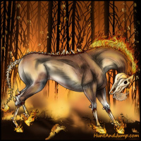 Horse Color:Red Onyx Rabicano 