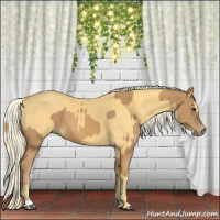 Horse Color:Chestnut  and Palomino 