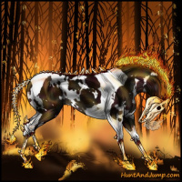 Horse Color:Gray White Spotted Midnight Brown Tobiano 