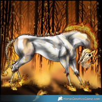 Horse Color:Gray Bay Onyx Tobiano Rabicano 