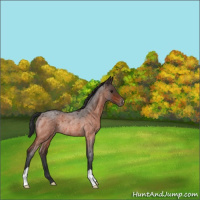 Horse Color:Bay Roan Varnish Rabicano 