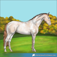 Horse Color:White Spotted Sable Champagne Roan Pearl 
