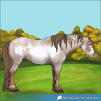 Horse Color:Blue Roan Pearl Frame 