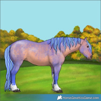 Horse Color:Painted Watercolor Chocolate Bay Dun Sabino Tobiano 