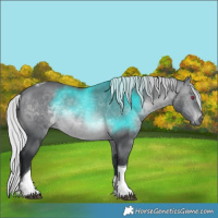 Horse Color:Silver Brown Chinchilla Tobiano Rabicano