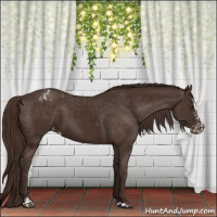 Horse Color:Liver Chestnut Sabino Splash Blanket  and Liver Chestnut Sabino Blanket 