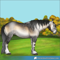 Horse Color:Gray Brown Onyx Mushroom Tobiano