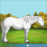 Horse Color:Gray Brown Onyx Mushroom Tobiano 