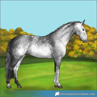 Horse Color:Gray White Spotted Black Mushroom 