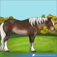 Horse Color:White Spotted Liver Chestnut Mushroom 