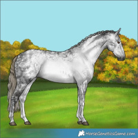 Horse Color:Gray Liver Chestnut Ice Mushroom Tobiano 