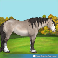 Horse Color:Bay Dun Mushroom Sabino Rabicano 