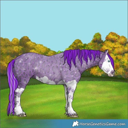 Horse Color:Painted Watercolor Black Ice Splash 