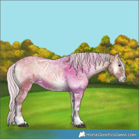 Horse Color:Silver Blue Onyx Ice