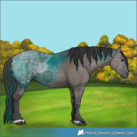 Horse Color:Smoky Grullo Ice Rabicano