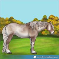 Horse Color:Silver Blue Onyx Ice 